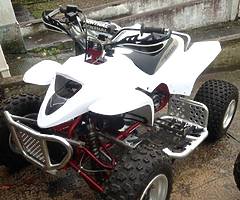 Pro shark 100cc race quad - Image 4/4