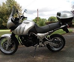 2005 Triumph Tiger 955i