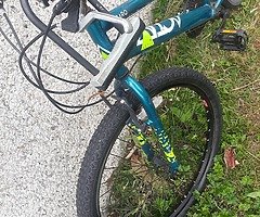 starts auction of € 55 who gives more takes a bicycle including its lock