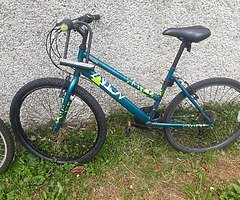 starts auction of € 55 who gives more takes a bicycle including its lock - Image 3/3