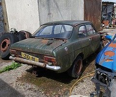 Mk1 escort 2 door (stink rotten)