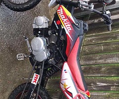 125cc pitbike - Image 10/11