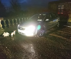 Ford focus - Image 10/13