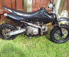 2019 Gas Gas juicebox 110