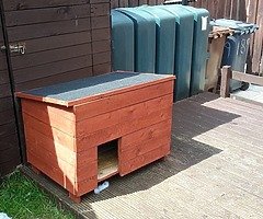 Dog box