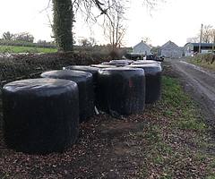Silage for sale