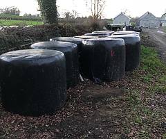Silage for sale