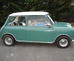 72 mini