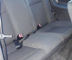 Genuine little polo