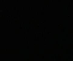 Peugeot partner 1.9 Diesel (black) for breaking all going well pm for more info and pics