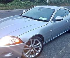 Jaguar xk