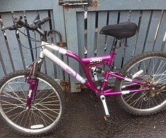 Mountain bicycle