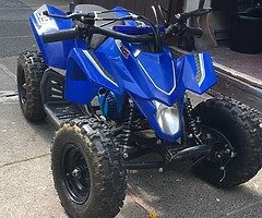 2016 Thoroughbred Motorsports Stallion
