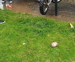 Any 125s out there for sale road bike mot preferably