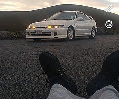 SINGLE PLUG DIZZY WANTED TOMORROW