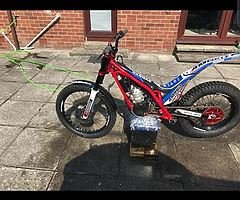 Gas gas 300cc - Image 5/9