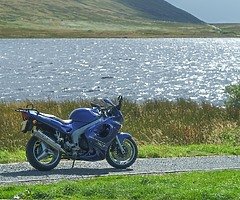 2003 Triumph Sprint
