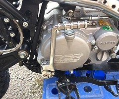 2016 stomp 125 10th anniversary litimted edition

2019 rfz 150 racing pit bike - Image 3/4