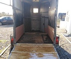 Nugent horse