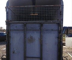 Nugent horse - Image 4/4