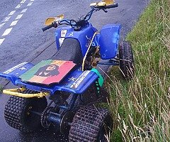 Yamaha blaster - Image 3/4