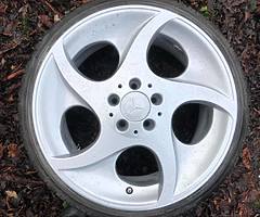 18” Alphards