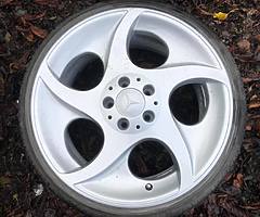 18” Alphards