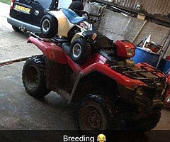 Farm quad wanted cheap cash waiting pm me