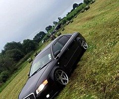 Fog light grill wanted