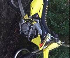 2015 rmz 450