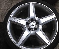 19' AMGS