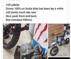 125 pitbike like new still new pads front an back