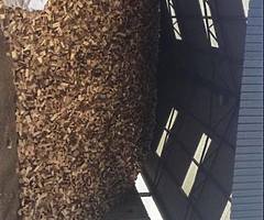 Firewood stoves fireplaces get it while your warm ☀️ - Image 4/8