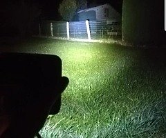 4 inch spot lights - Image 6/7