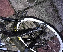 Kona stab deluxe - Image 5/6