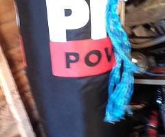 Pro boxing bag
