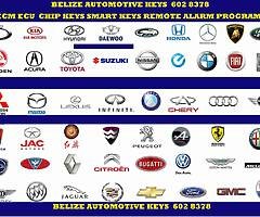 Daihatsu Keys Remotes All Keys Automotive ECU ECM PCM Programming Belize 602 8378