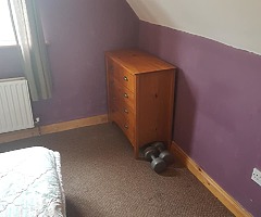 Room rent - Image 7/9