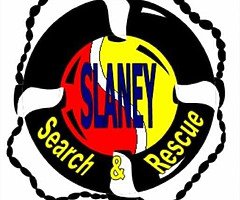 Car show - Image 6/10