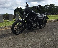 2009 Harley-Davidson Sportster 883