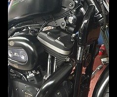 2009 Harley-Davidson Sportster 883 - Image 6/10