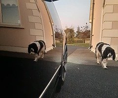 kitted passat - Image 6/10