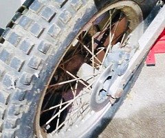 2001 Gas Gas Contact - Image 3/4