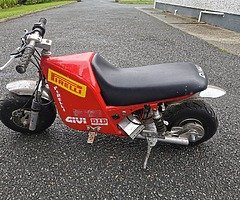 24v minimoto