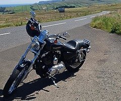 2005 Harley-Davidson Sportster 1200