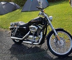 2005 Harley-Davidson Sportster 1200 - Image 4/7