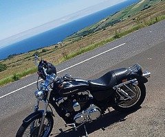 2005 Harley-Davidson Sportster 1200 - Image 7/7