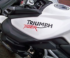 Triumphs 2011 Tiger 800 with ABS - Image 10/10