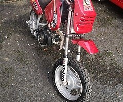 49cc dirt bike - Image 3/4