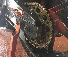 Cbr 600 f3 race bike - Image 3/7